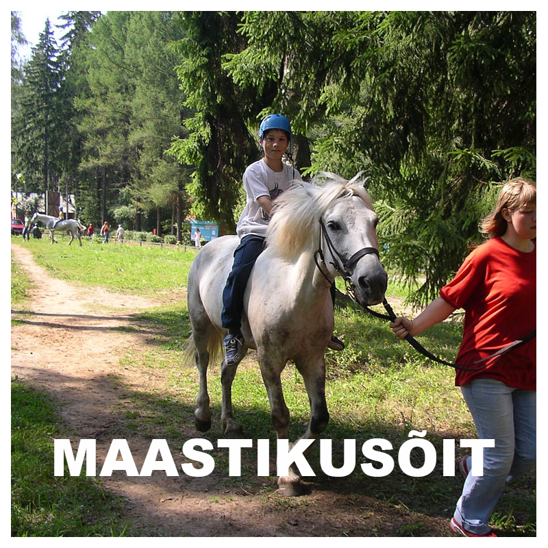 Maastikusõit, ratsutamine, hobused, poni